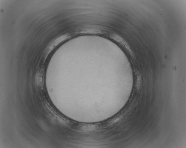 X0000081490882200702100027