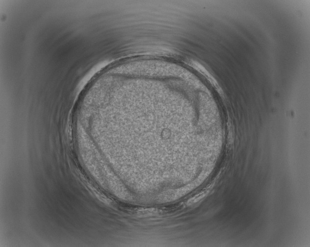 X0000081490883200702100027