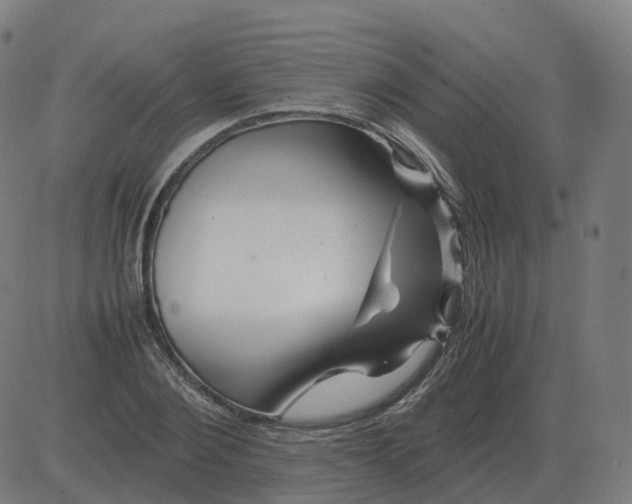 X0000081490884200702100027