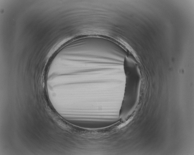 X0000081490885200702100027