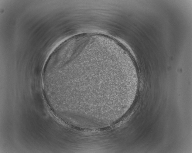 X0000081490887200702100027