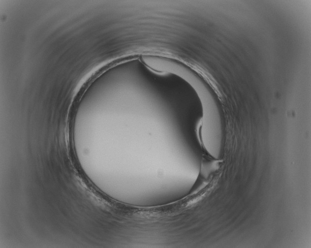 X0000081490888200702100027