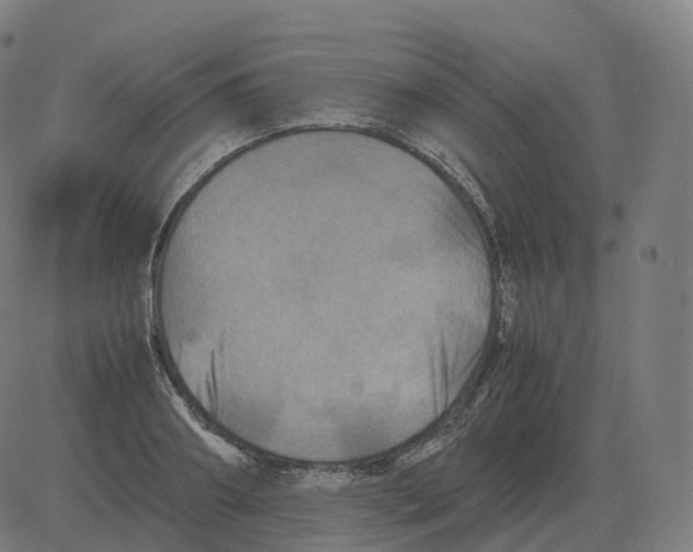 X0000081490890200702100027