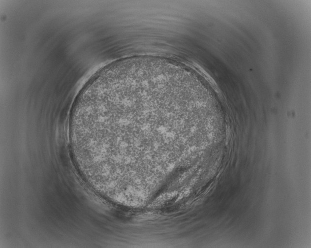 X0000081490891200702100027