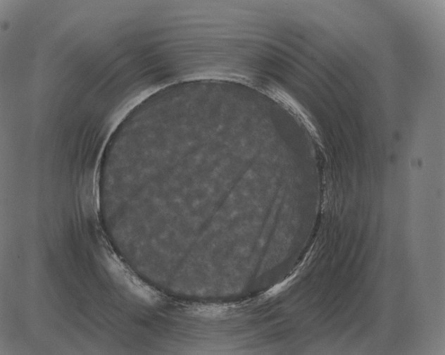 X0000081490892200702100027