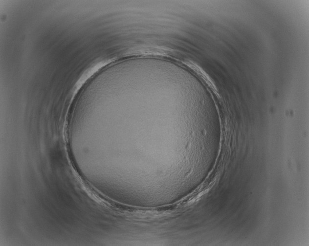 X0000081490893200702100027