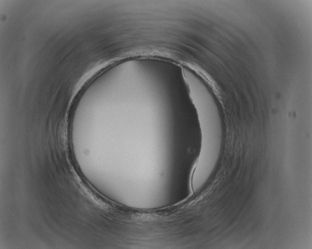 X0000081490894200702100027