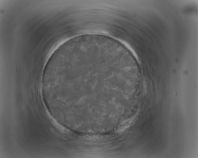 X0000081490895200702100027