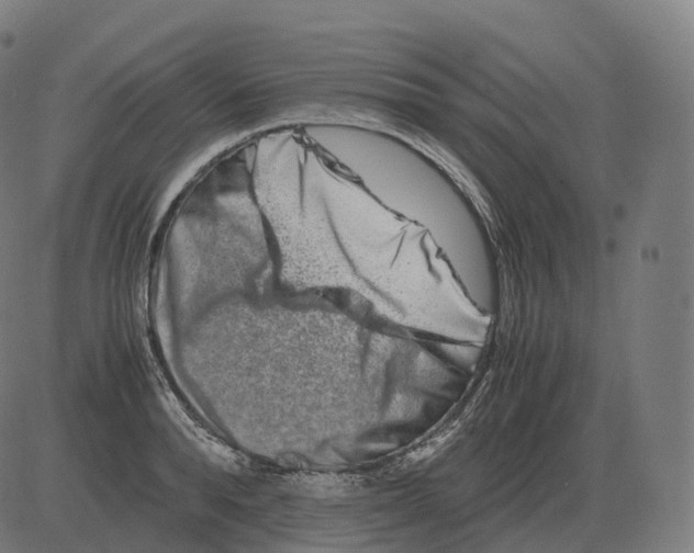 X0000081490896200702100027