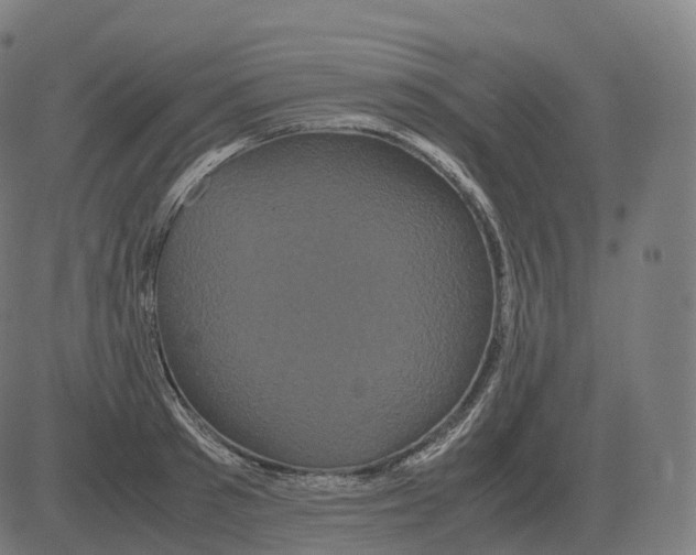 X0000081490897200702100027