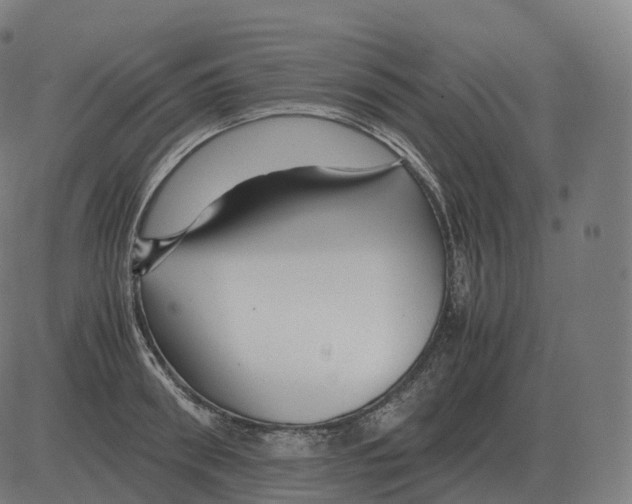 X0000081490898200702100027