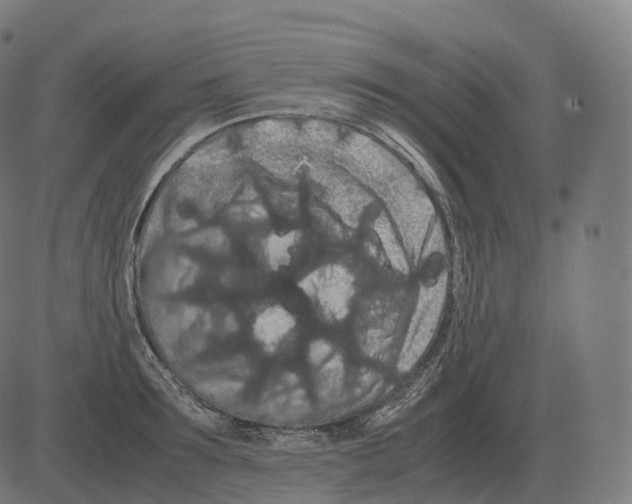 X0000081490899200702100027