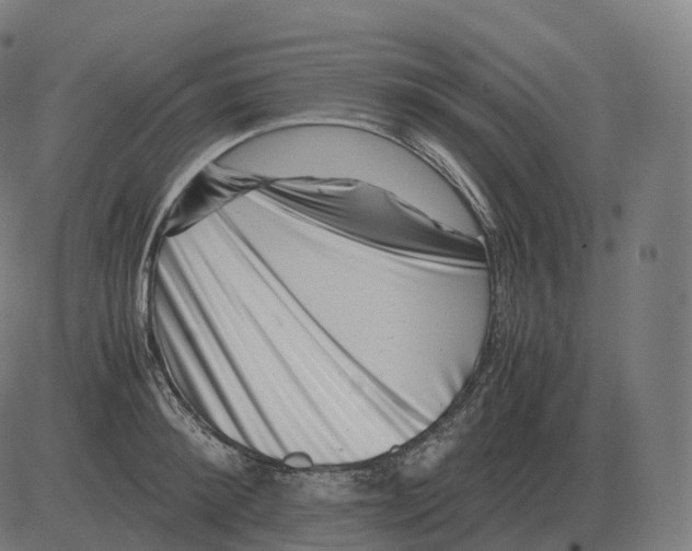 X0000081490900200702100027