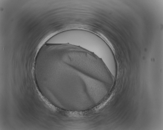 X0000081490901200702100027