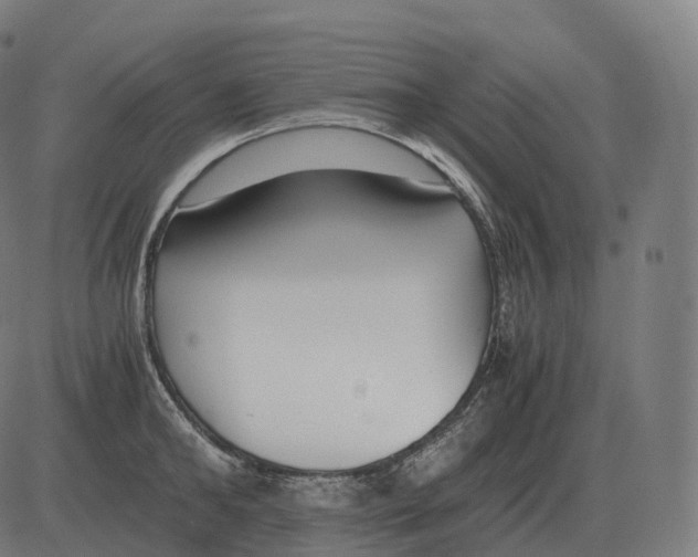 X0000081490902200702100027