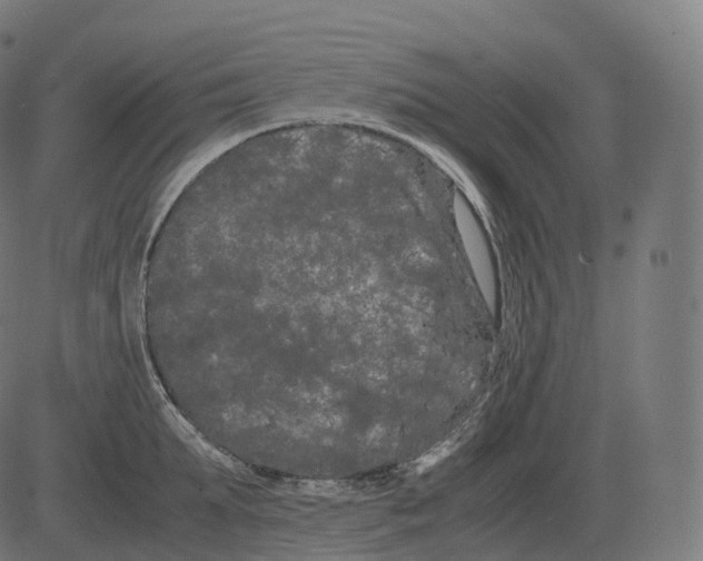 X0000081490903200702100027