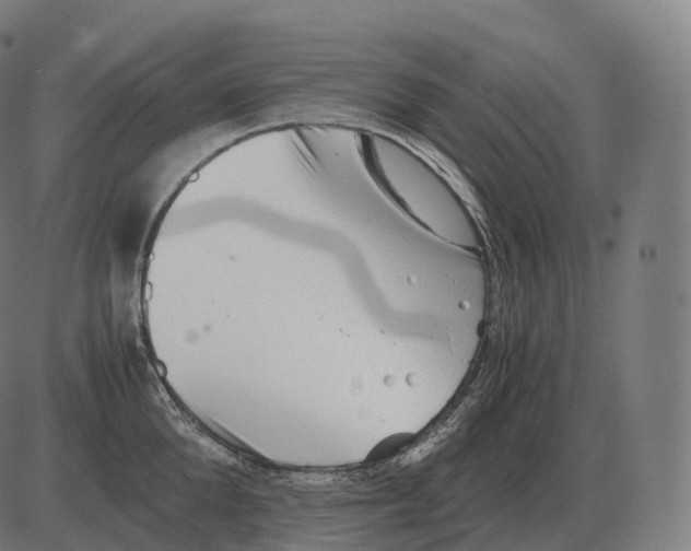 X0000081490904200702100027