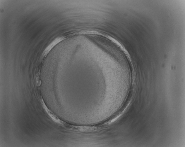 X0000081490905200702100027