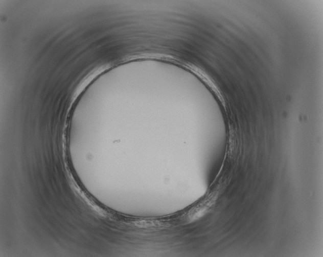 X0000081490906200702100027