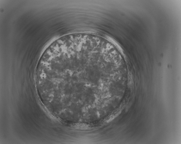 X0000081490907200702100027