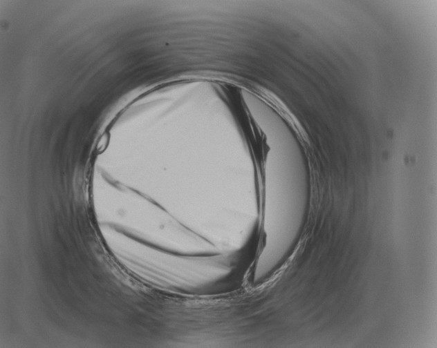 X0000081490908200702100027