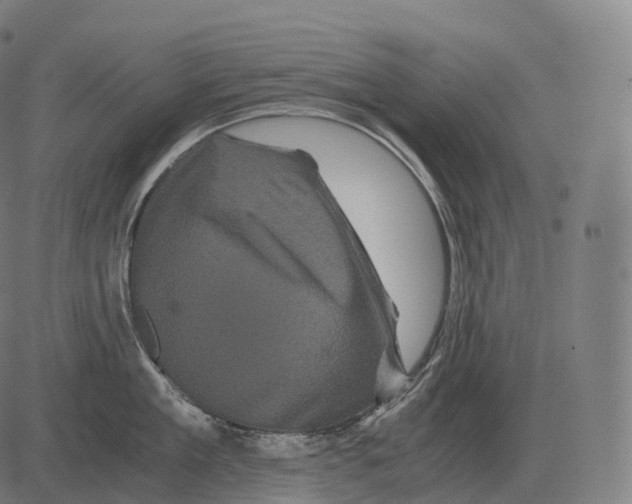 X0000081490909200702100027