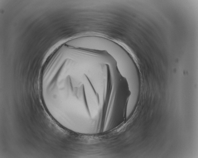 X0000081490910200702100027