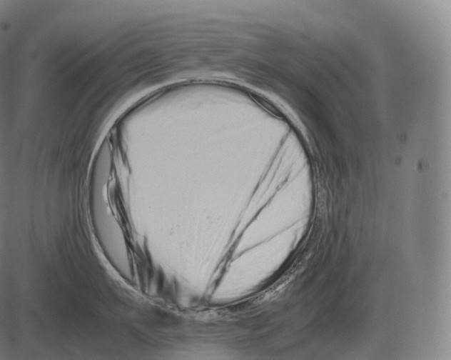 X0000081490911200702100027