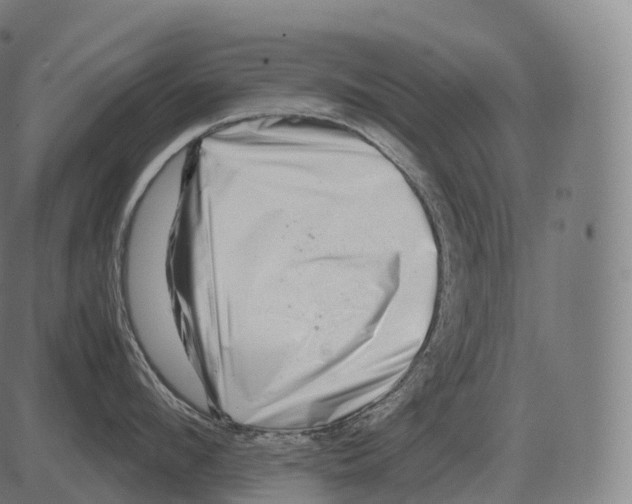 X0000081490912200702100027