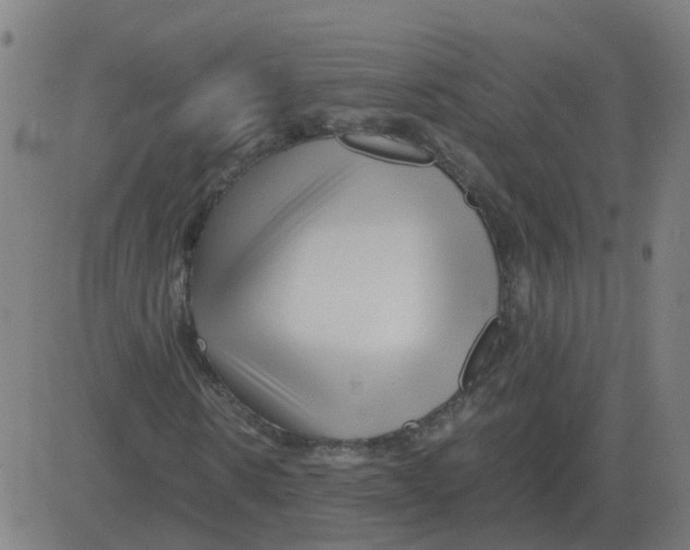 X0000081490914200702100026