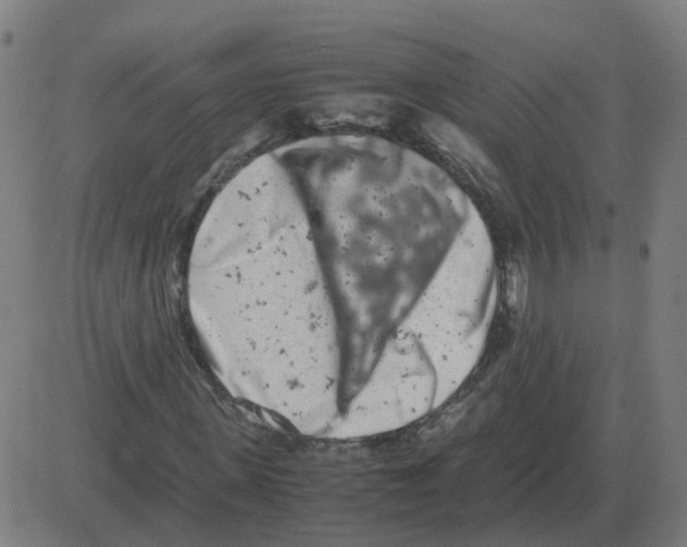 X0000081490915200702100026