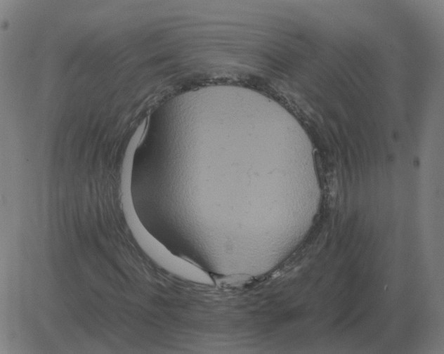 X0000081490916200702100026