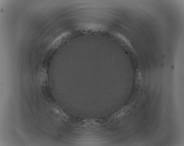 X0000081490918200702100026