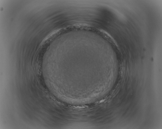 X0000081490919200702100026