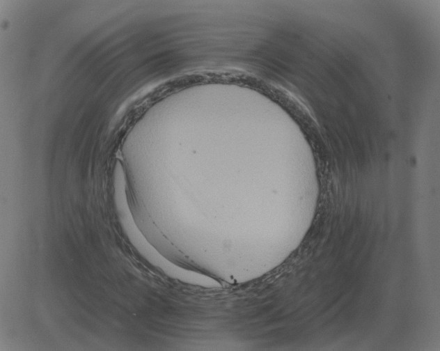 X0000081490920200702100026