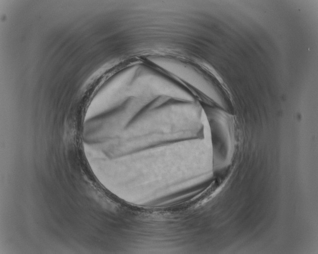 X0000081490922200702100026