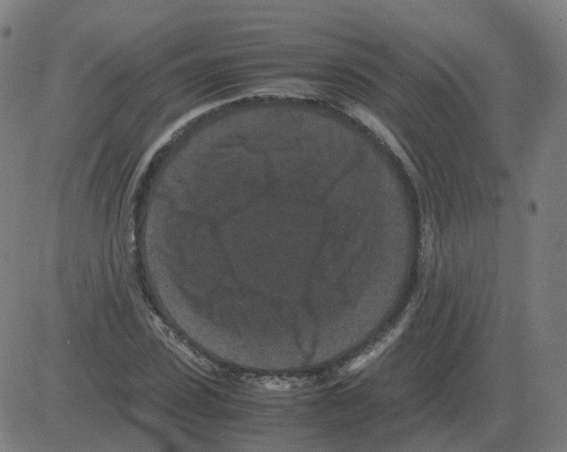 X0000081490923200702100026