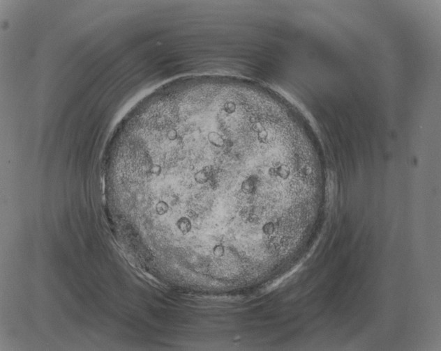 X0000081490925200702100026