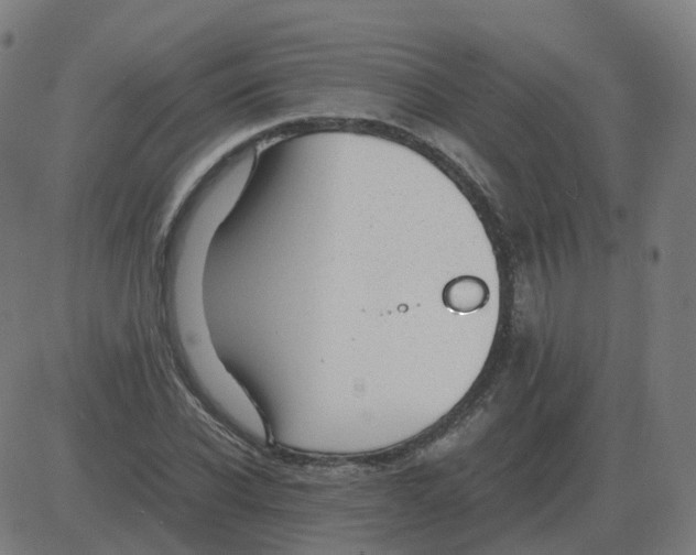 X0000081490926200702100026