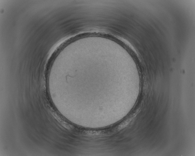 X0000081490927200702100026