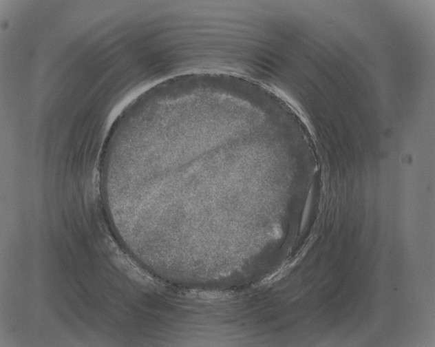 X0000081490928200702100026