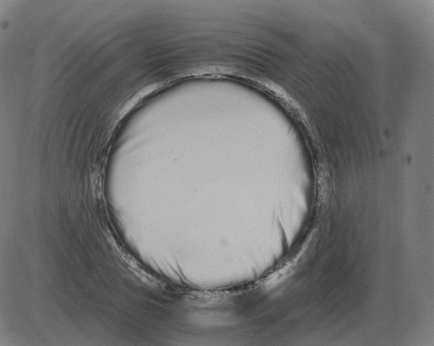 X0000081490929200702100026