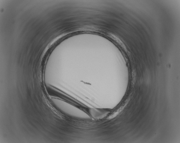 X0000081490931200702100026