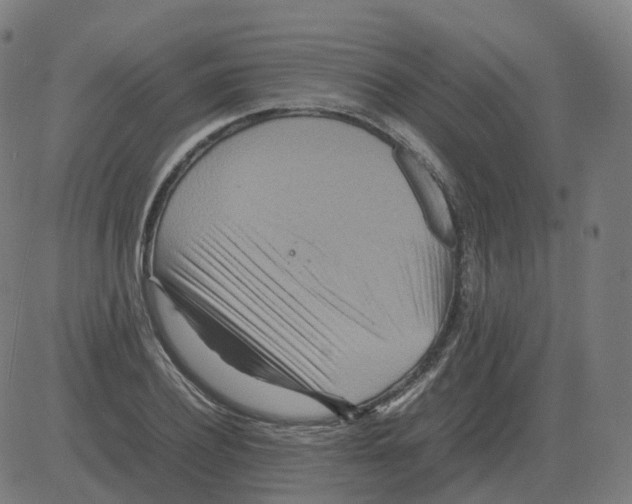 X0000081490932200702100026