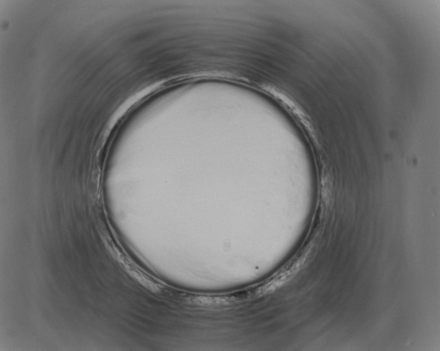 X0000081490933200702100026