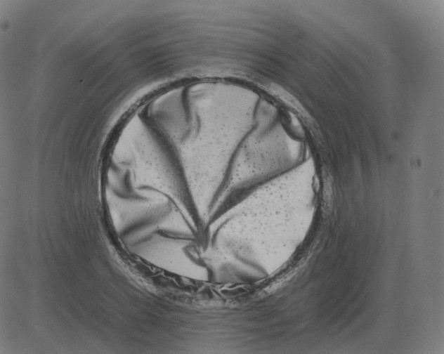 X0000081490934200702100026