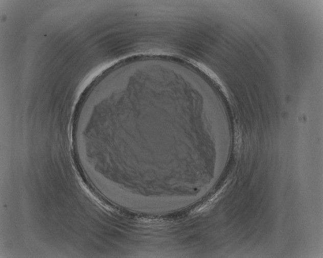 X0000081490935200702100026