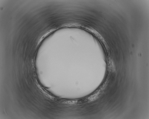 X0000081490937200702100026