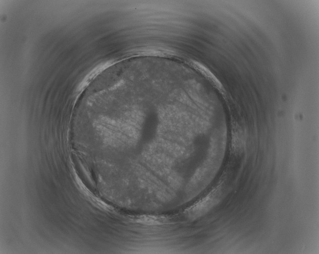 X0000081490938200702100026