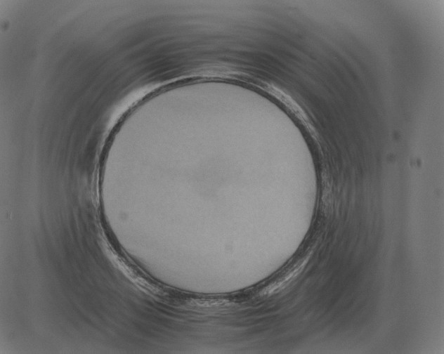 X0000081490939200702100026